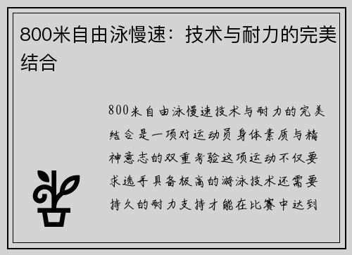 800米自由泳慢速：技术与耐力的完美结合